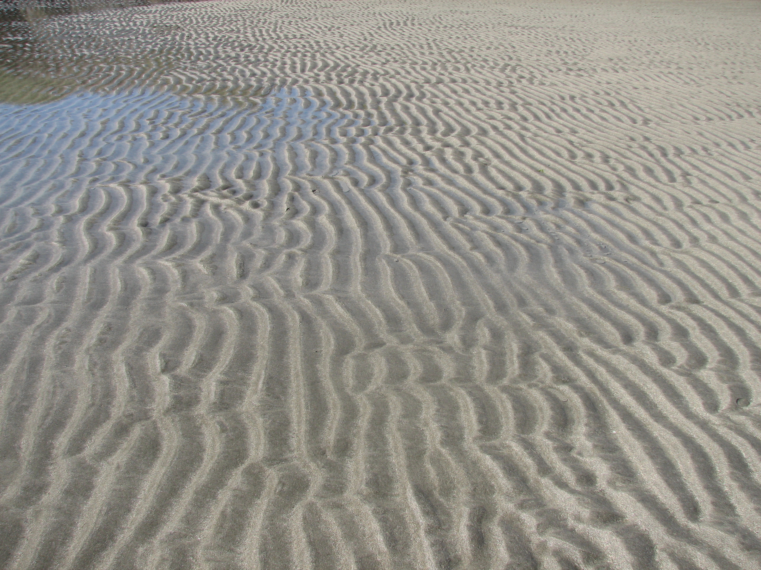 ripples California beach – JAMES M. WISE